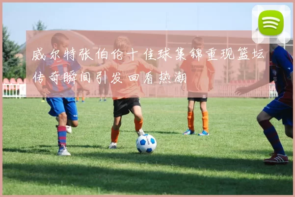 威尔特张伯伦十佳球集锦重现篮坛传奇瞬间引发回看热潮