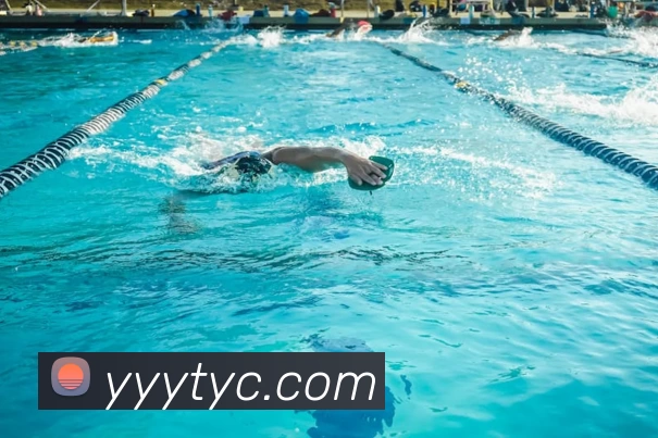 金年汇网页版登录入口(中国) - 官方网站平台生态图